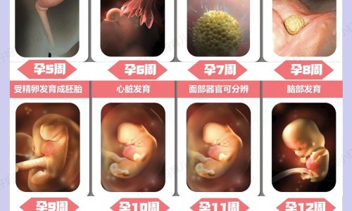 【褪黑素价格为什么有高有低】华北制药褪黑素价格 - 褪黑素价格网