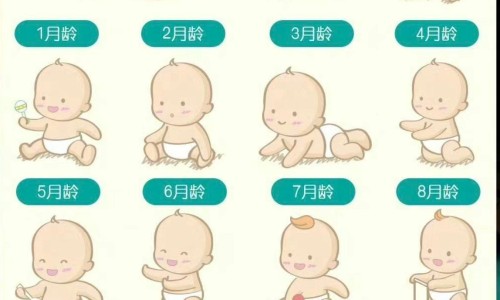 【褪黑素价格为什么有高有低】华北制药褪黑素价格 - 褪黑素价格网